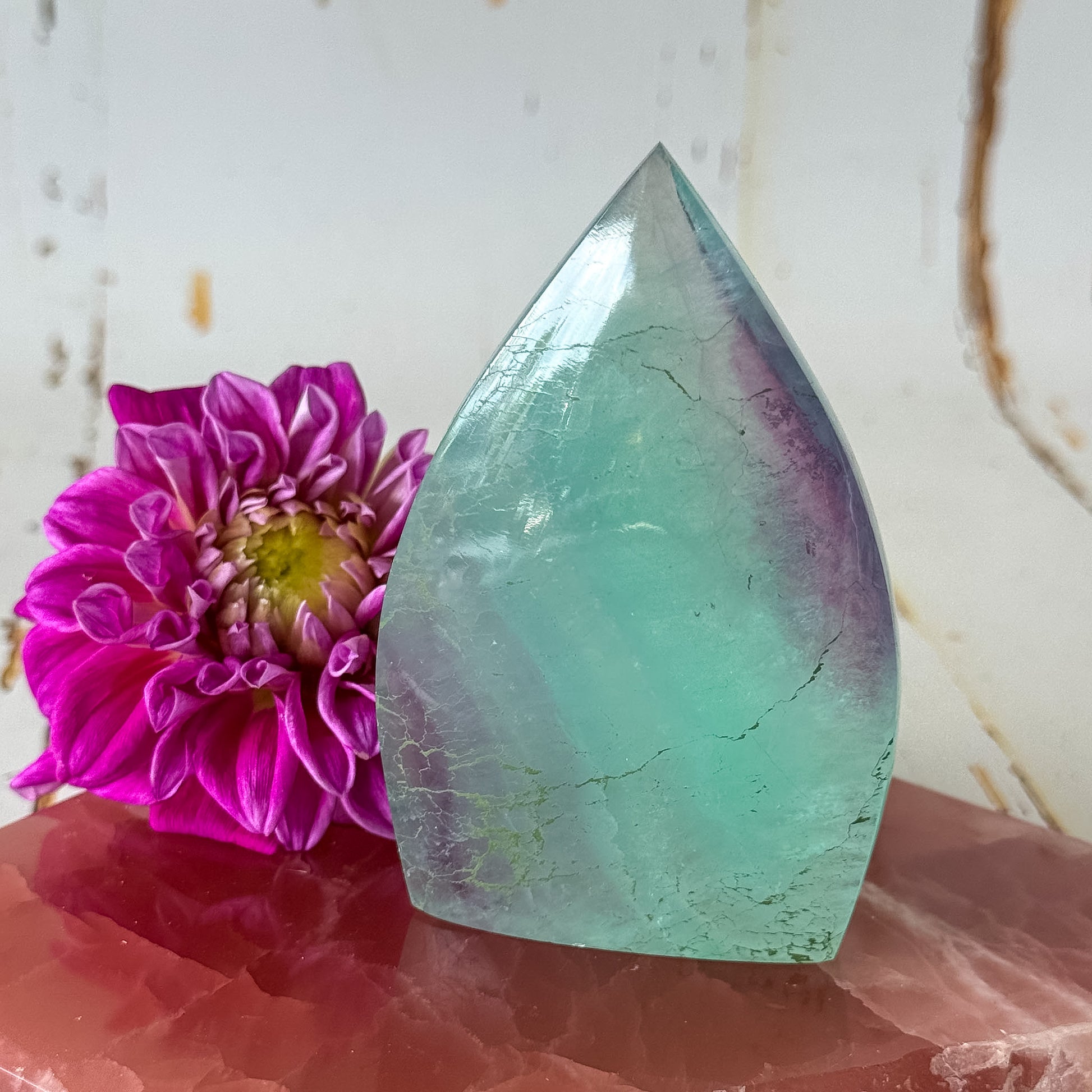 Candy Fluorite Flame #1430-Happily Zen