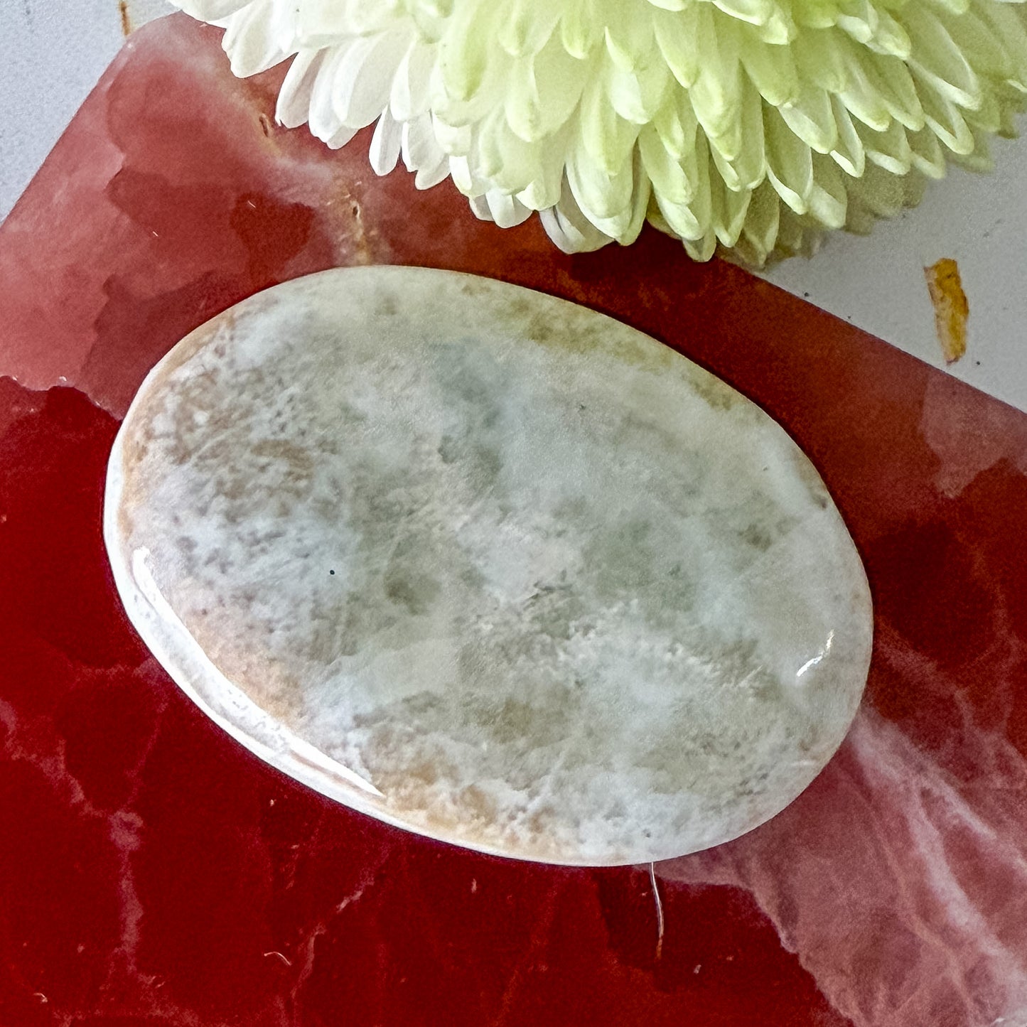 Caribbean Calcite Palm Stone #1431-Happily Zen