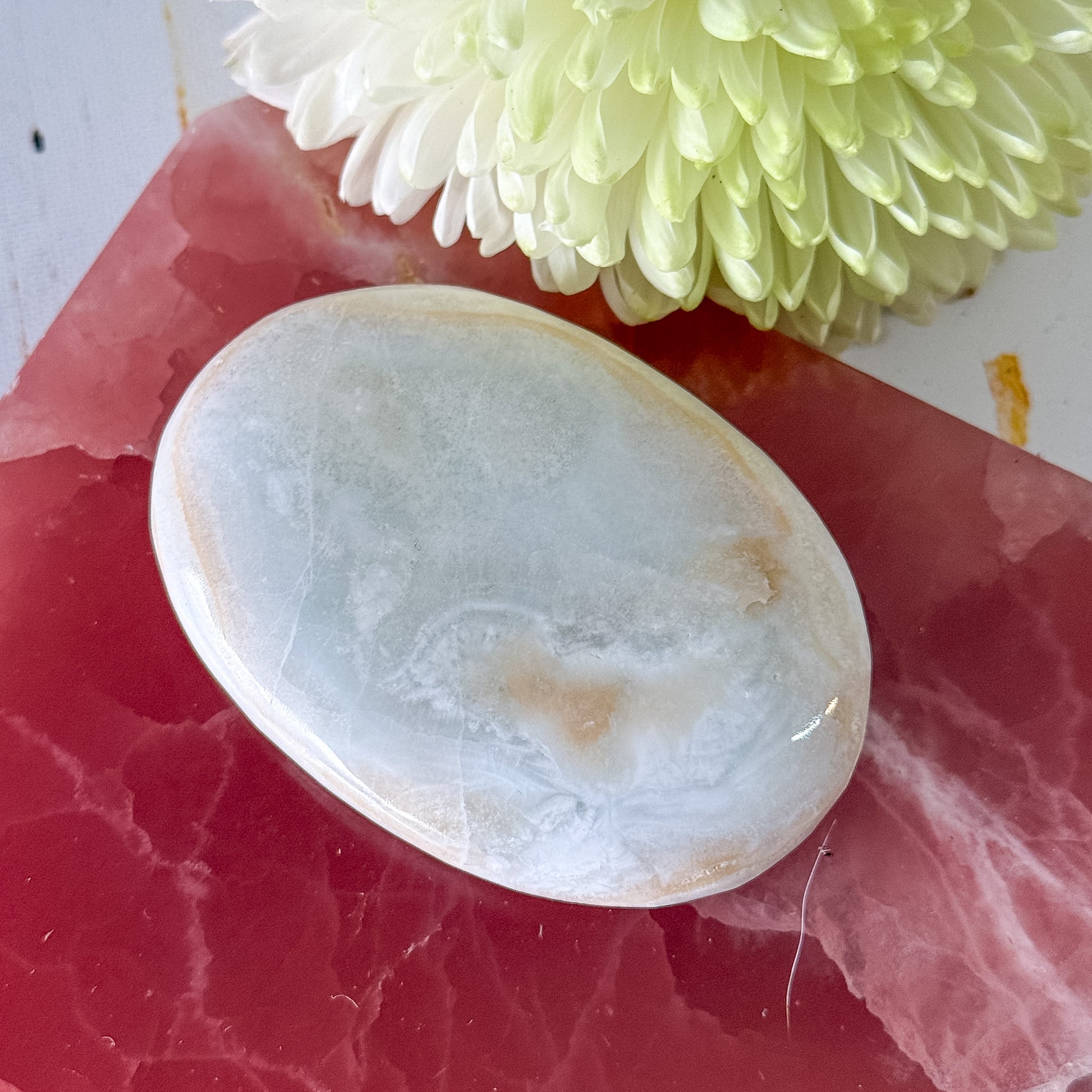Caribbean Calcite Palm Stone #1431-Happily Zen