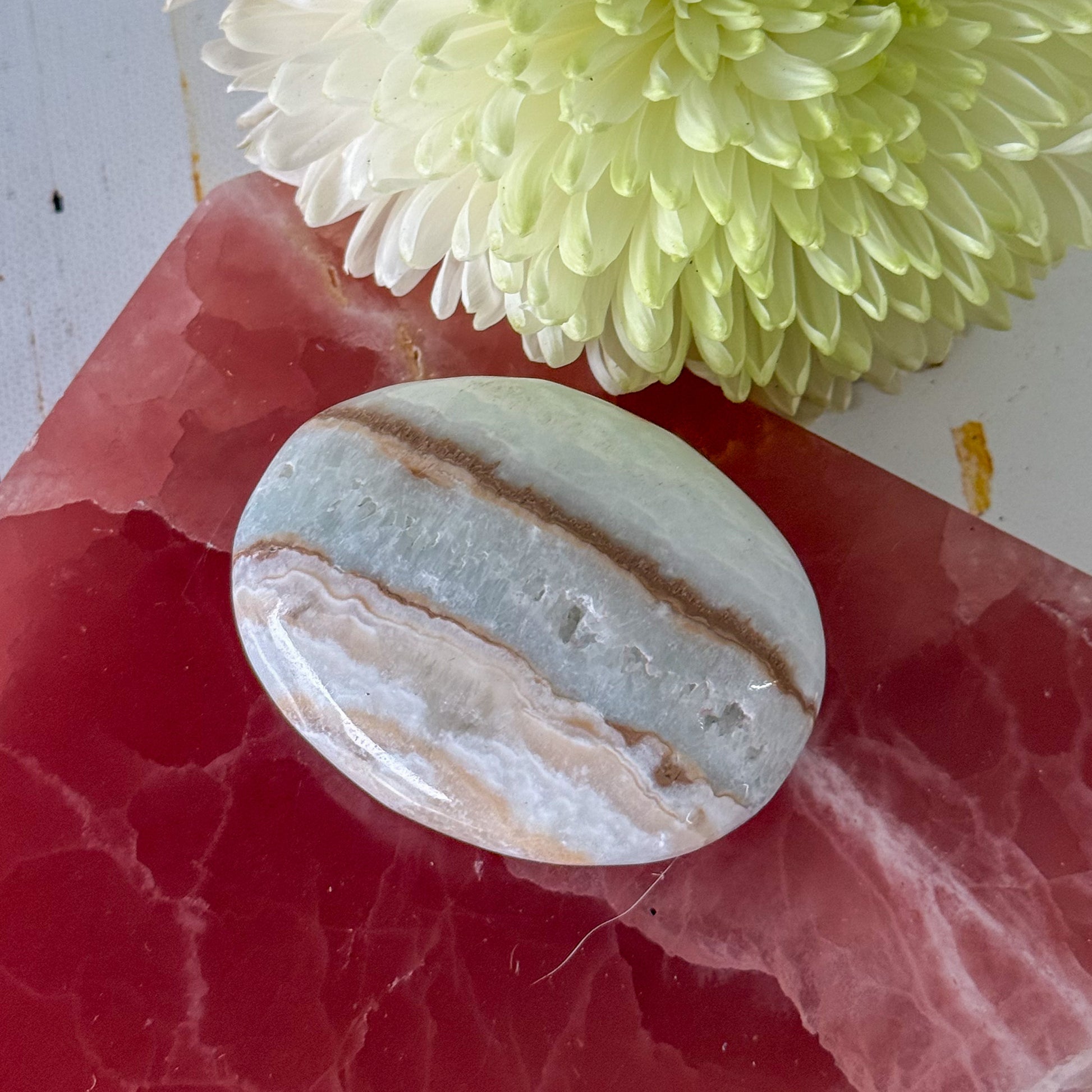 Caribbean Calcite Palm Stone #1432-Happily Zen