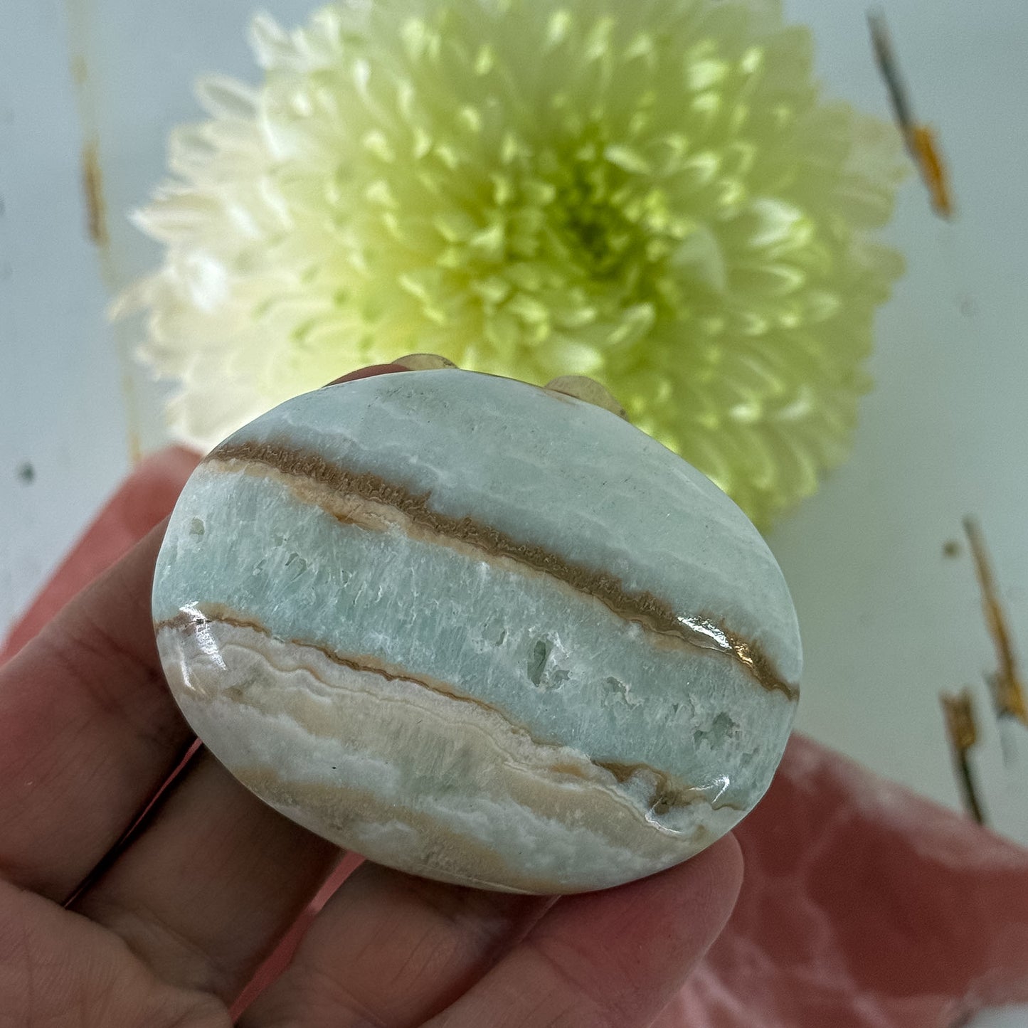 Caribbean Calcite Palm Stone #1432-Happily Zen