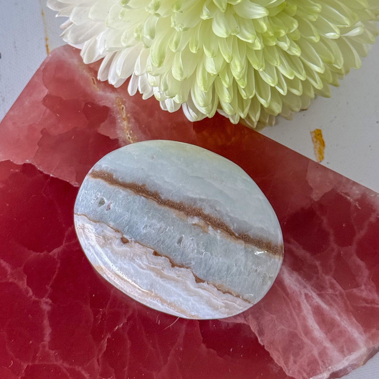 Caribbean Calcite Palm Stone #1432-Happily Zen