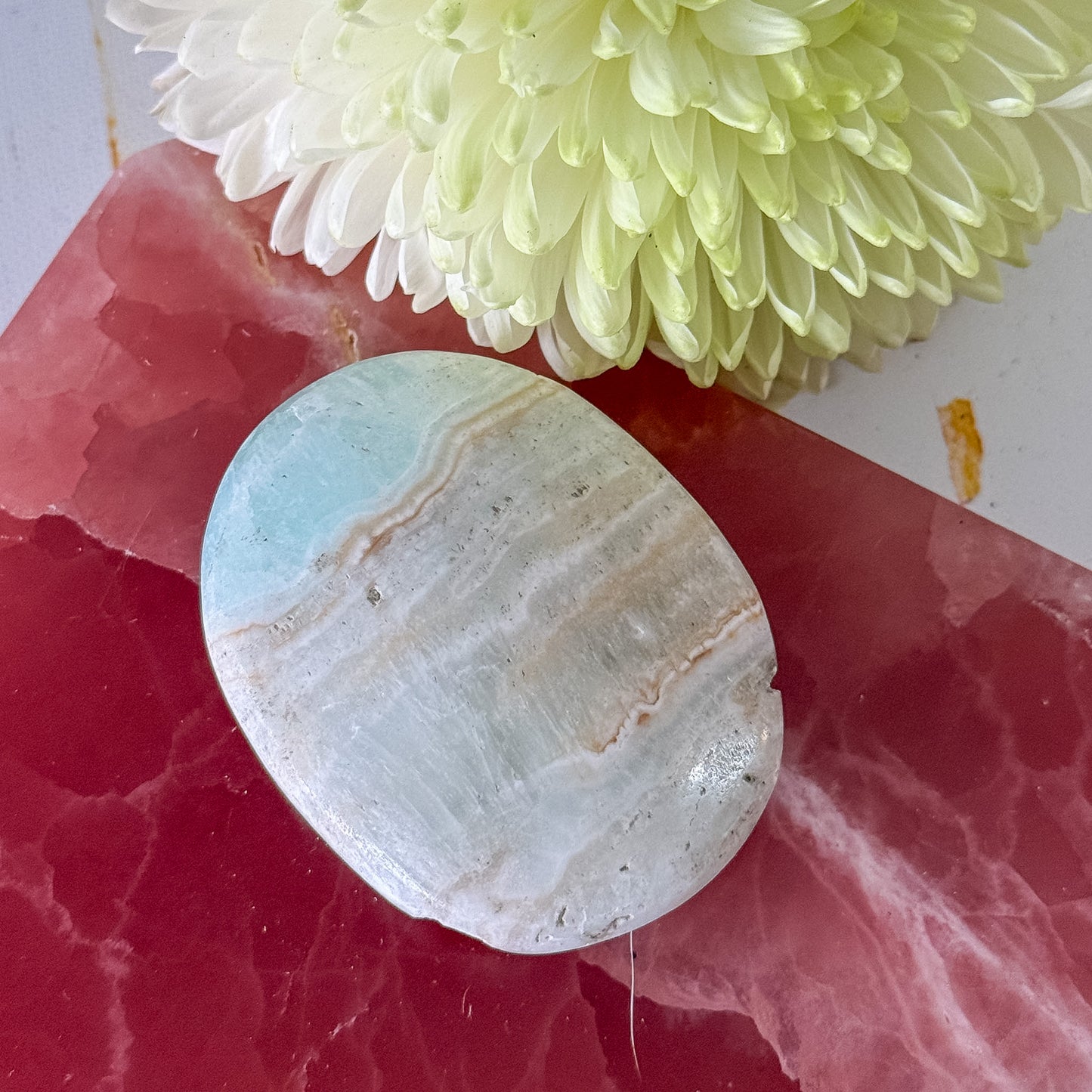 Caribbean Calcite Palm Stone #1433-Happily Zen