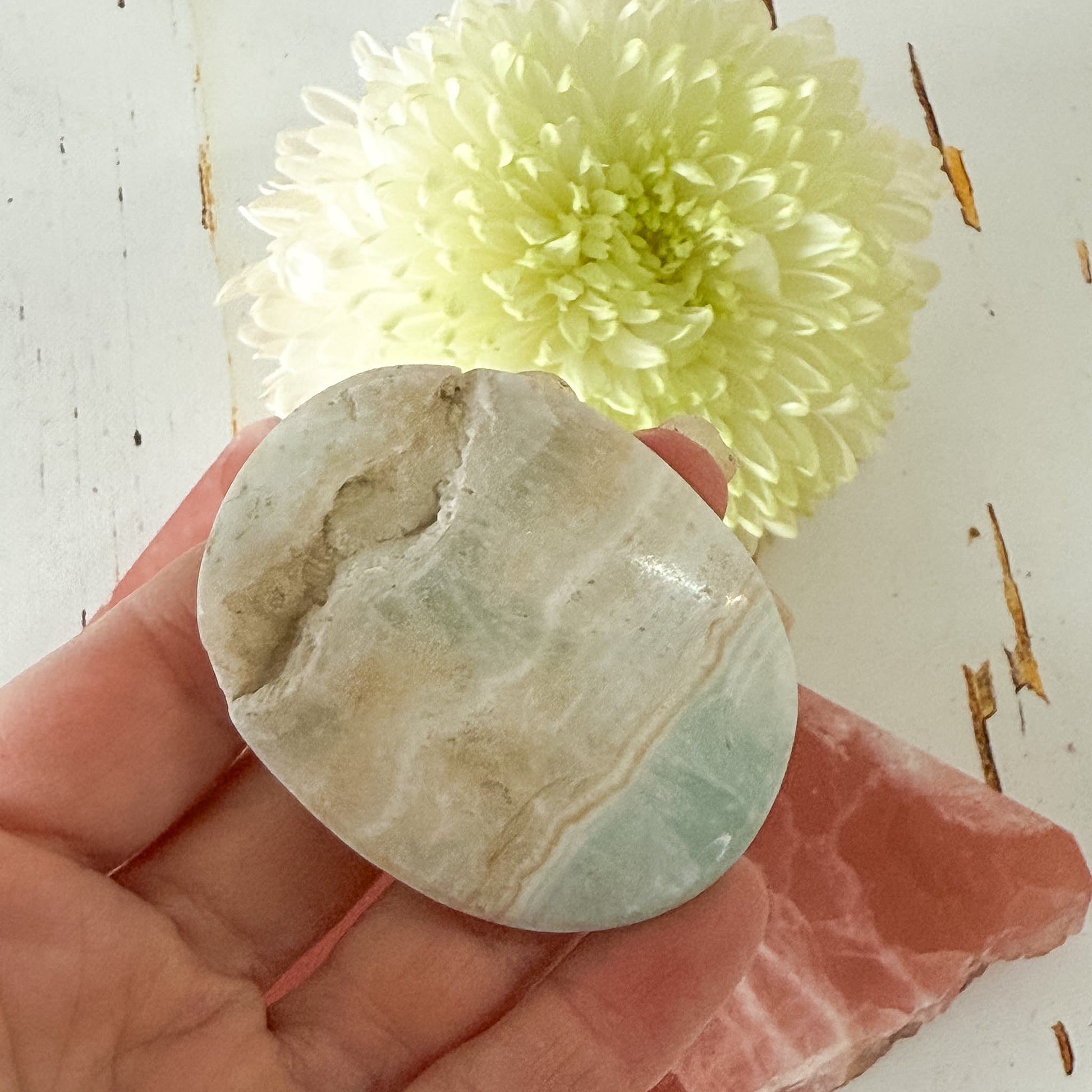 Caribbean Calcite Palm Stone #1433-Happily Zen