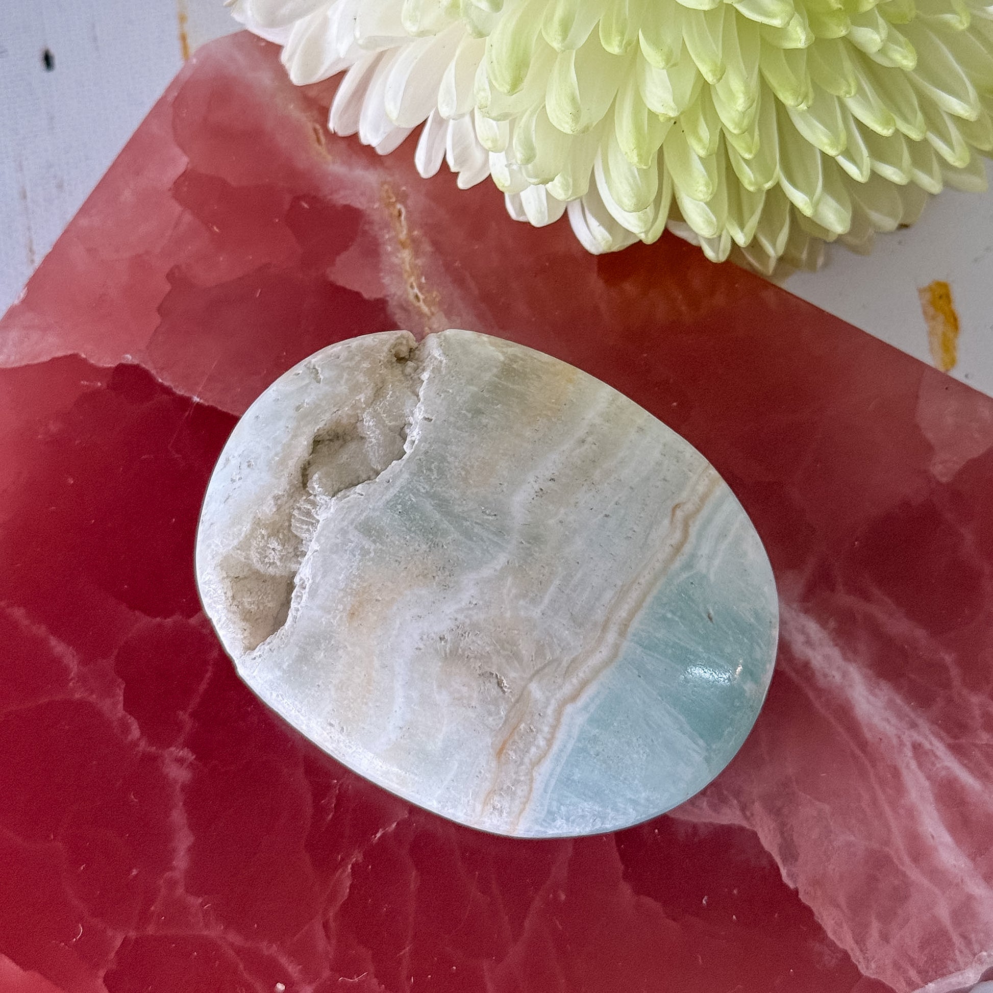 Caribbean Calcite Palm Stone #1433-Happily Zen
