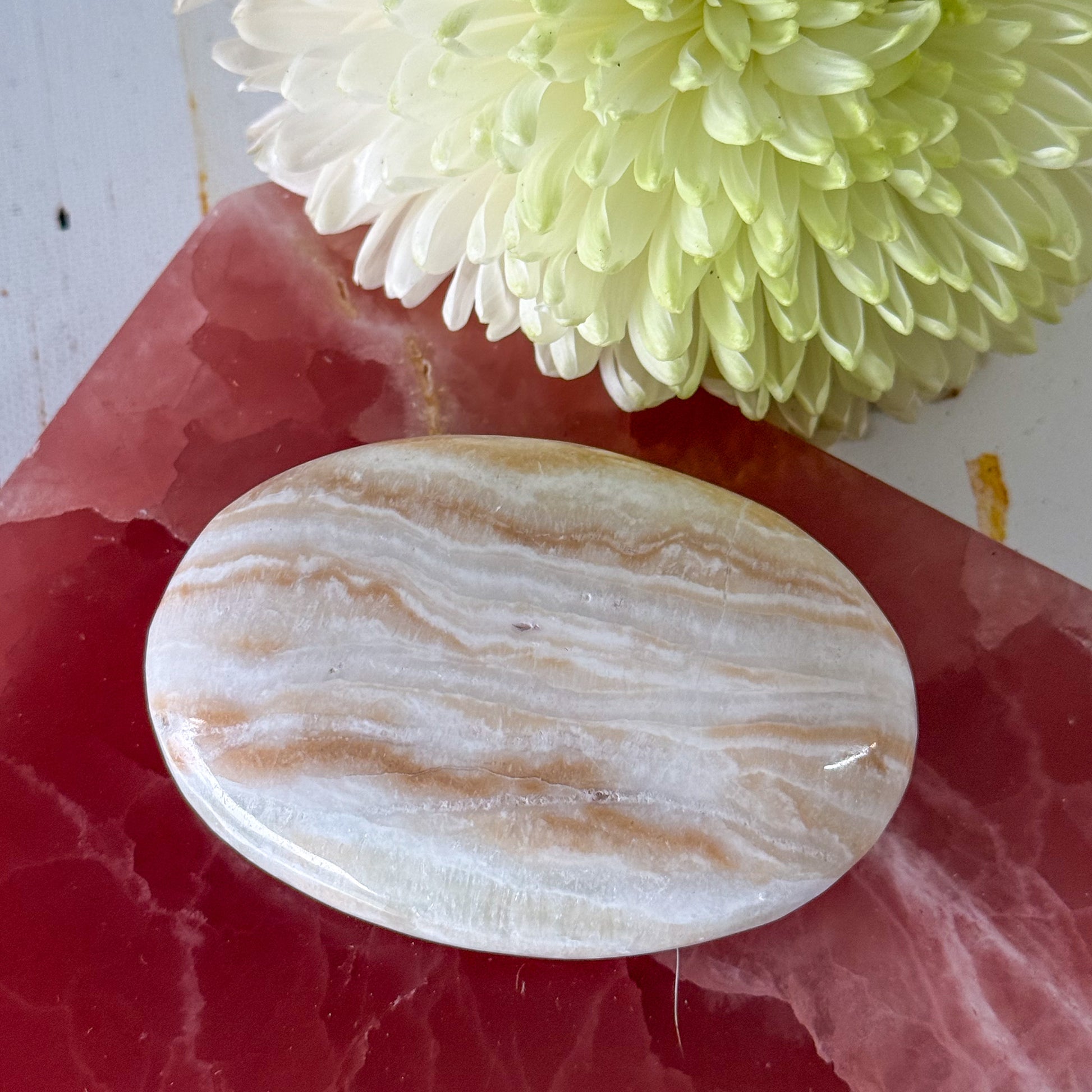 Caribbean Calcite Palm Stone #1434-Happily Zen