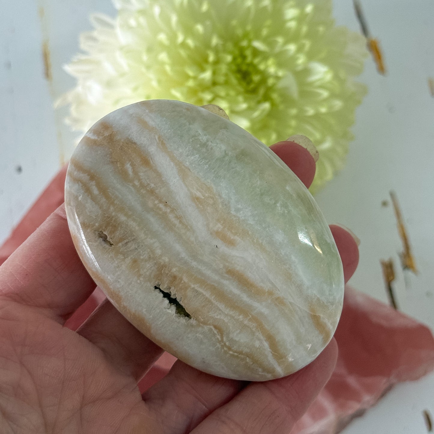 Caribbean Calcite Palm Stone #1434-Happily Zen