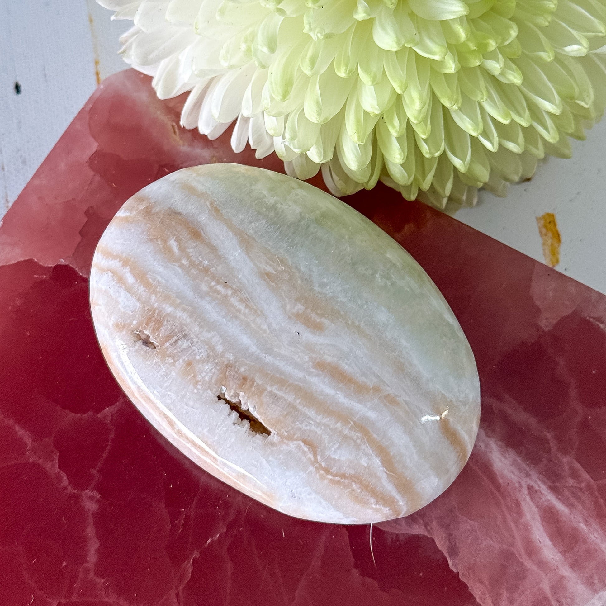 Caribbean Calcite Palm Stone #1434-Happily Zen