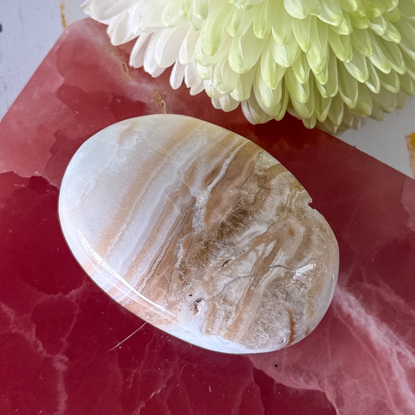 Caribbean Calcite Palm Stone #1435-Happily Zen