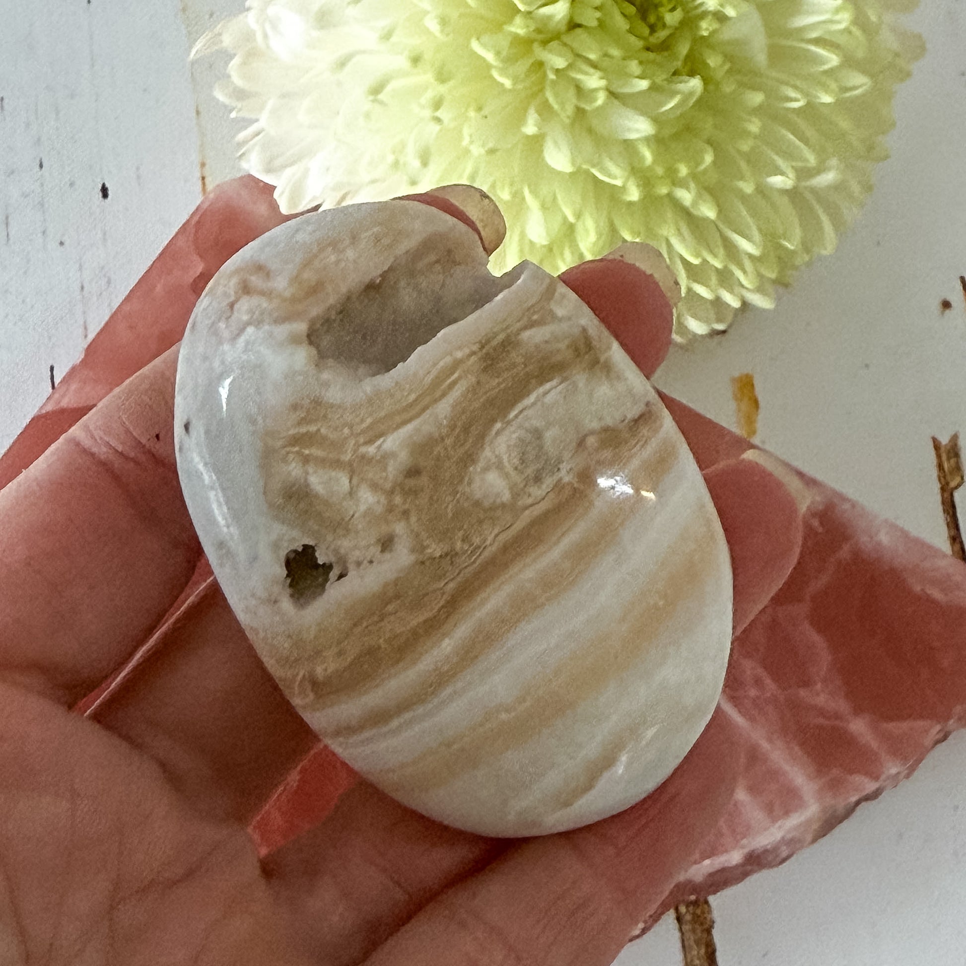 Caribbean Calcite Palm Stone #1435-Happily Zen