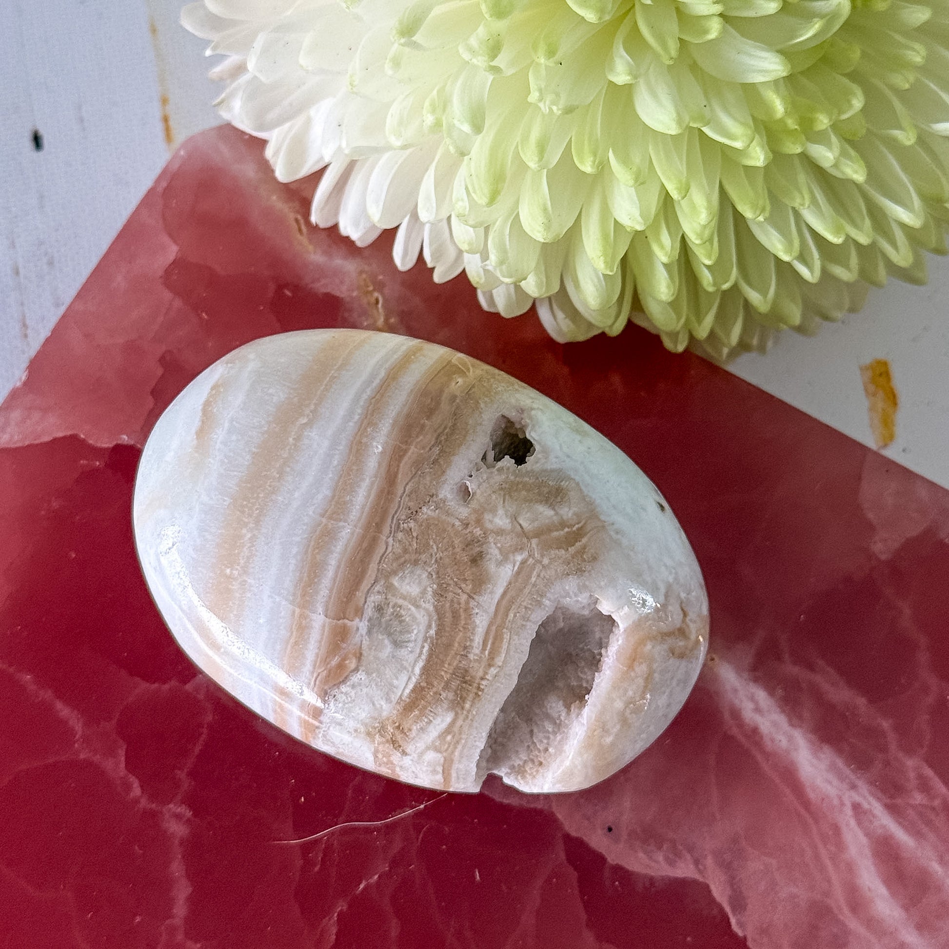 Caribbean Calcite Palm Stone #1435-Happily Zen