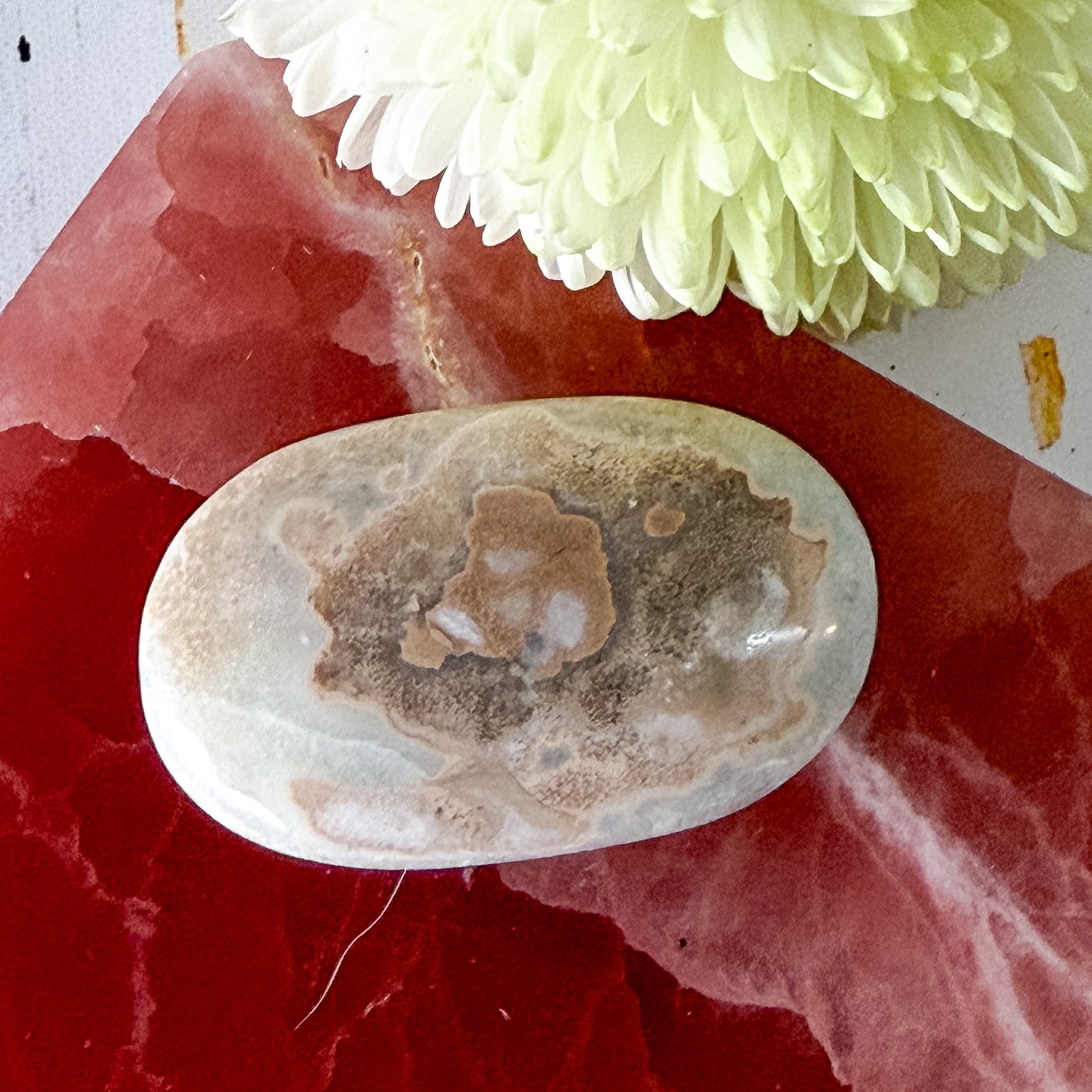 Caribbean Calcite Palm Stone #1436-Happily Zen