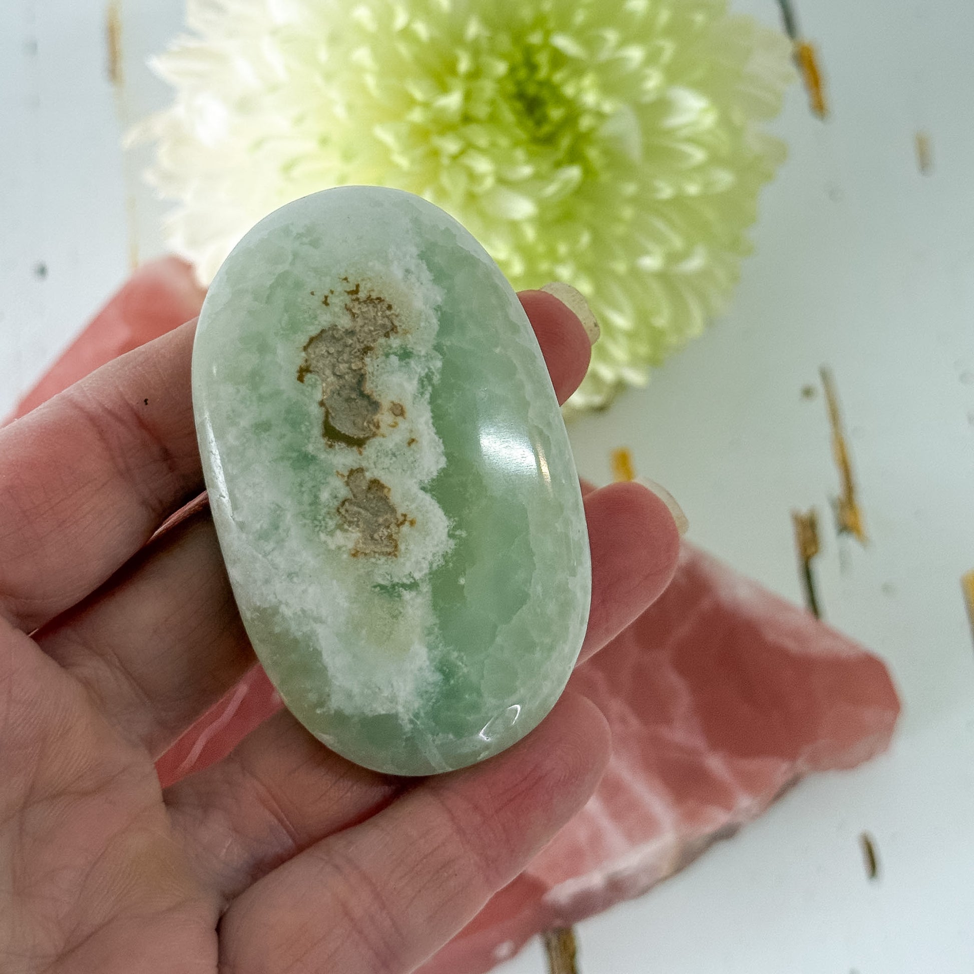 Caribbean Calcite Palm Stone #1436-Happily Zen