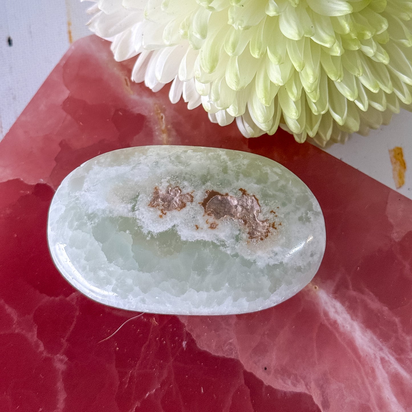 Caribbean Calcite Palm Stone #1436-Happily Zen