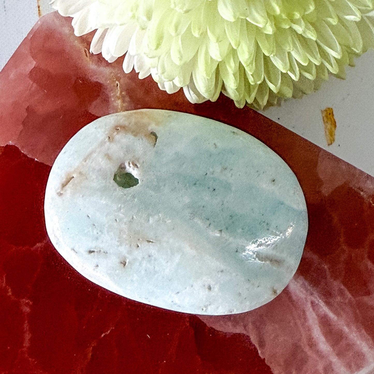 Caribbean Calcite Palm Stone #1437-Happily Zen