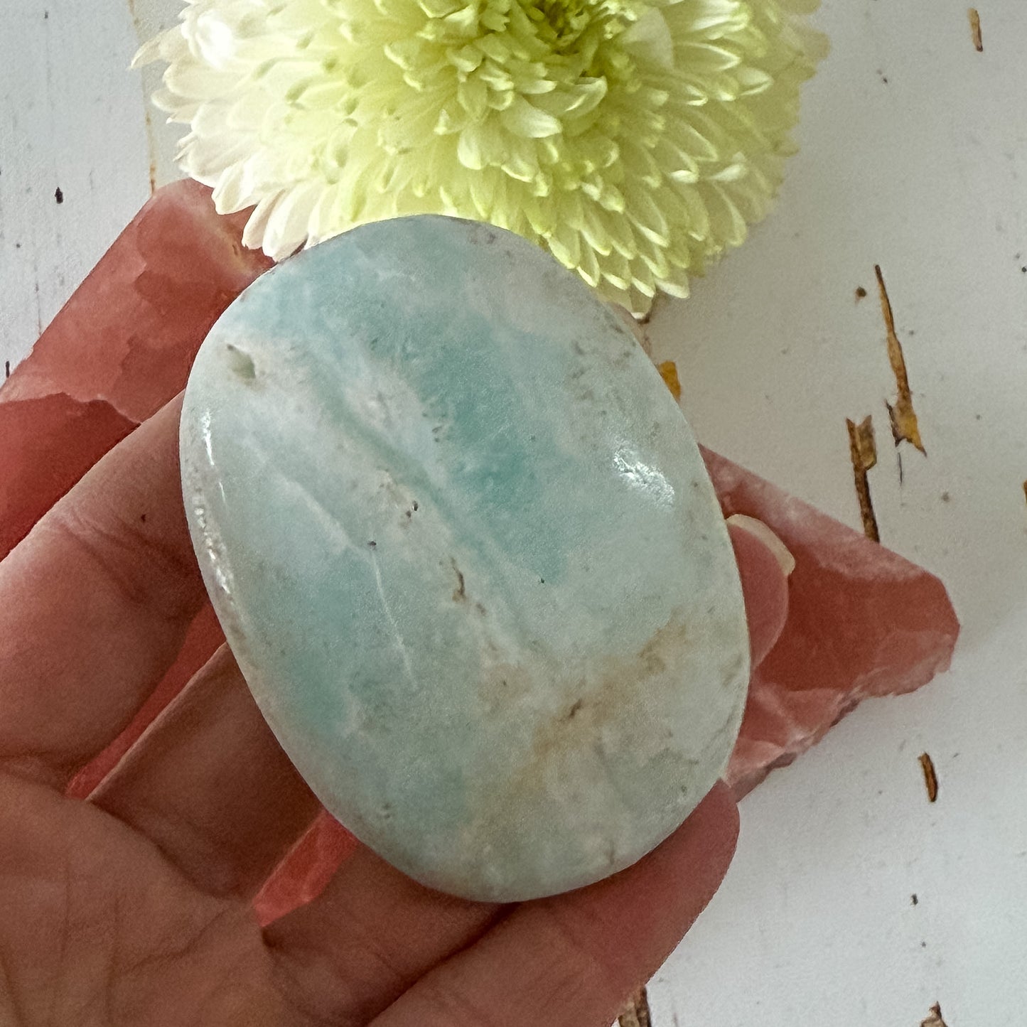 Caribbean Calcite Palm Stone #1437-Happily Zen