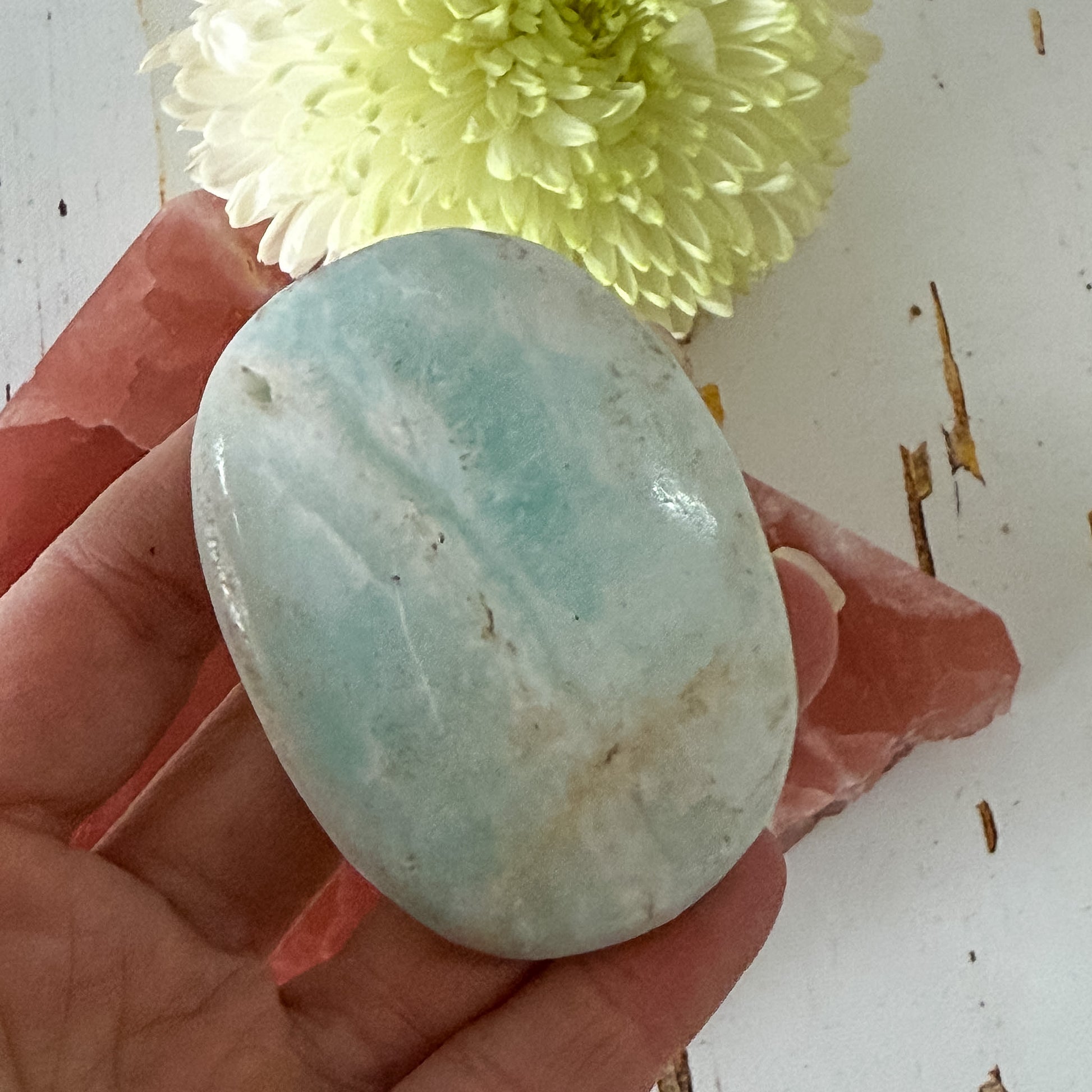 Caribbean Calcite Palm Stone #1437-Happily Zen