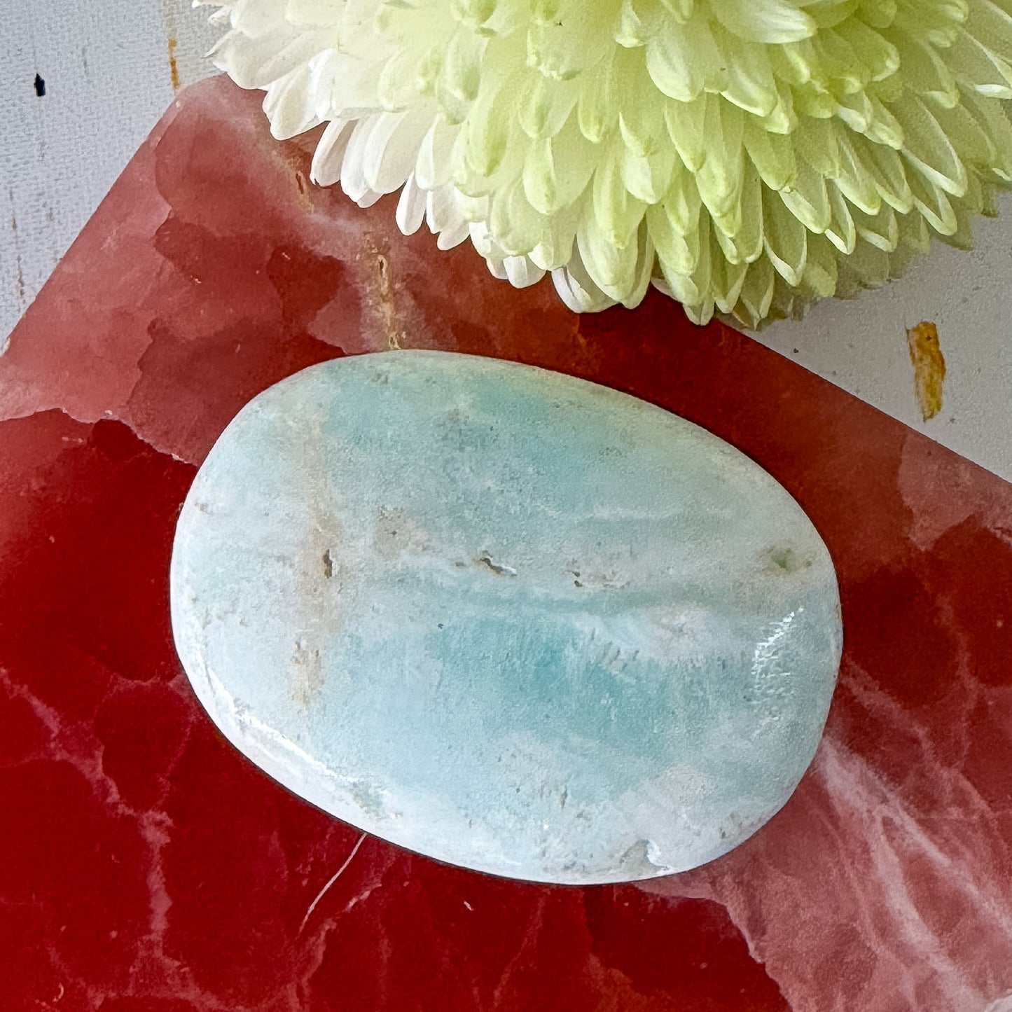 Caribbean Calcite Palm Stone #1437-Happily Zen
