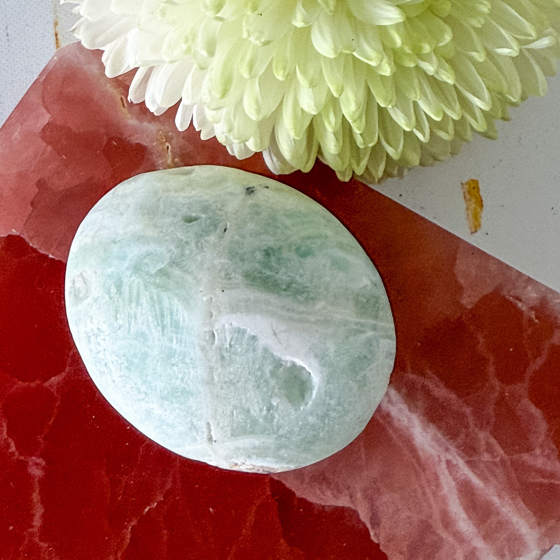 Caribbean Calcite Palm Stone #1438-Happily Zen