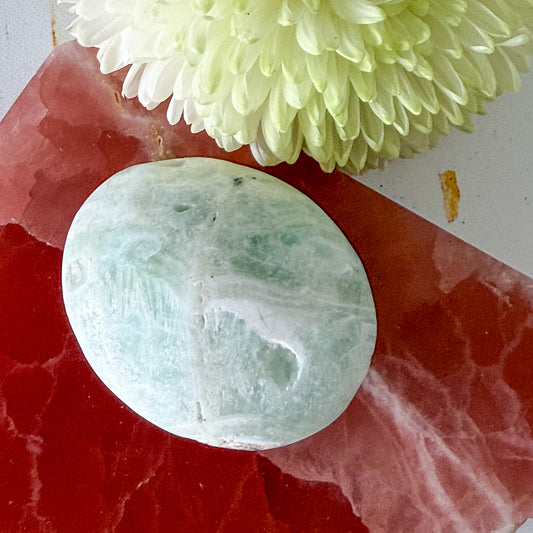 Caribbean Calcite Palm Stone #1438-Happily Zen