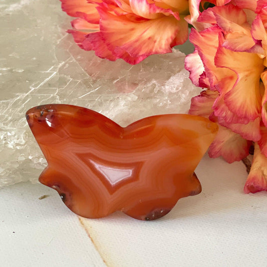 Carnelian Butterfly #47-Happily Zen