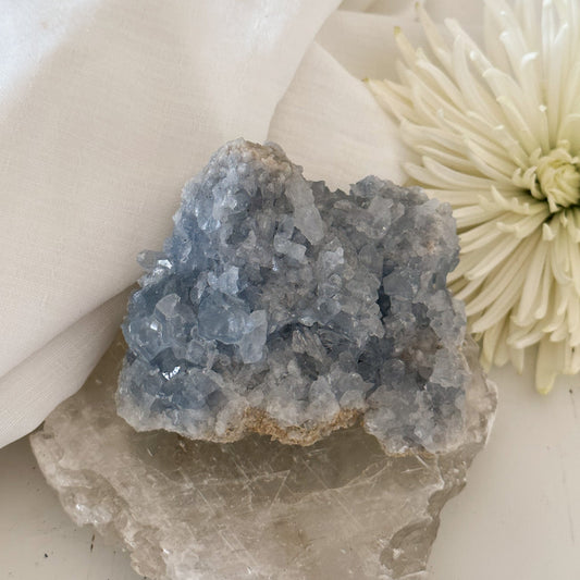 Celestite Cluster #640-Happily Zen