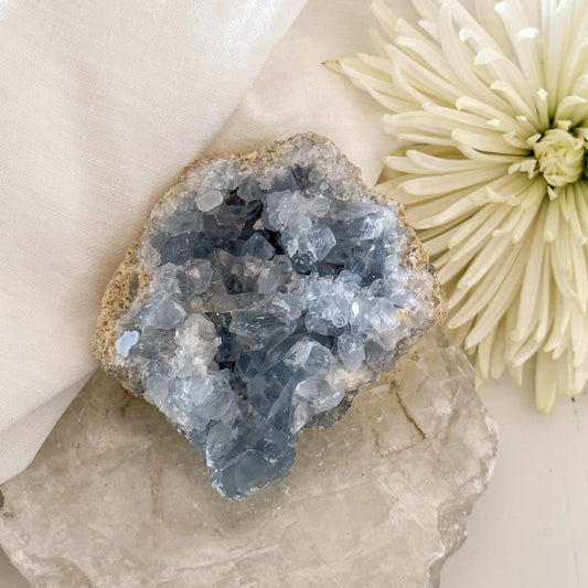 Celestite Cluster #641-Happily Zen