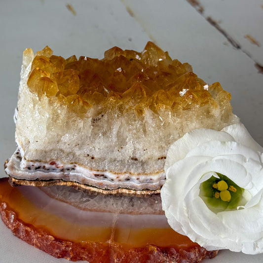 Citrine Cluster #1263-Happily Zen