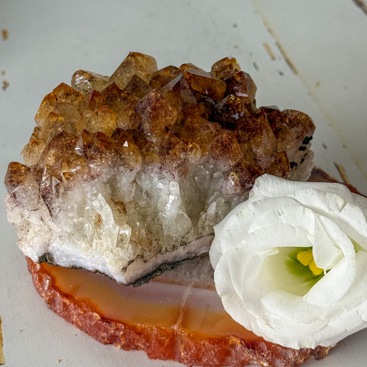 Citrine Cluster #1265-Happily Zen