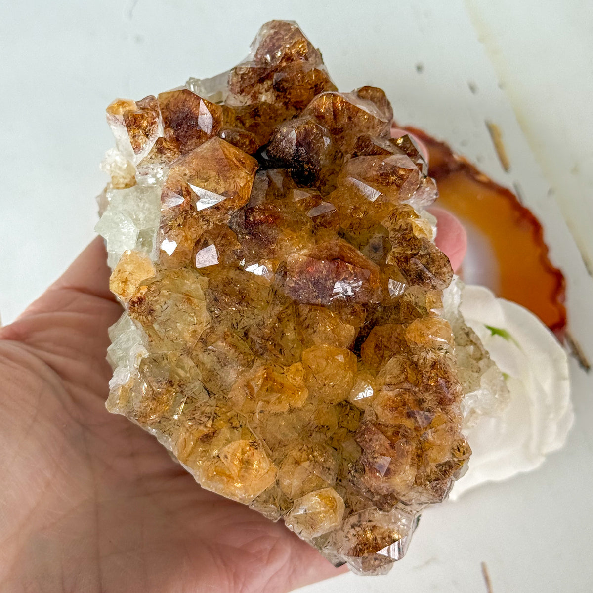 Citrine Cluster #1265-Happily Zen