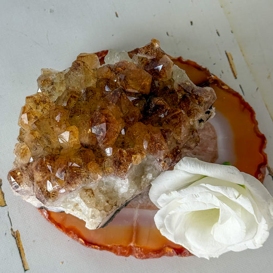 Citrine Cluster #1265-Happily Zen