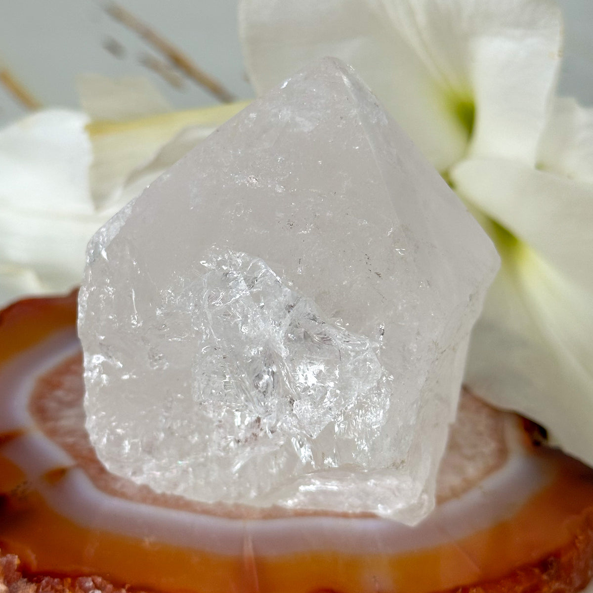Clear Quartz Point #1026-Happily Zen