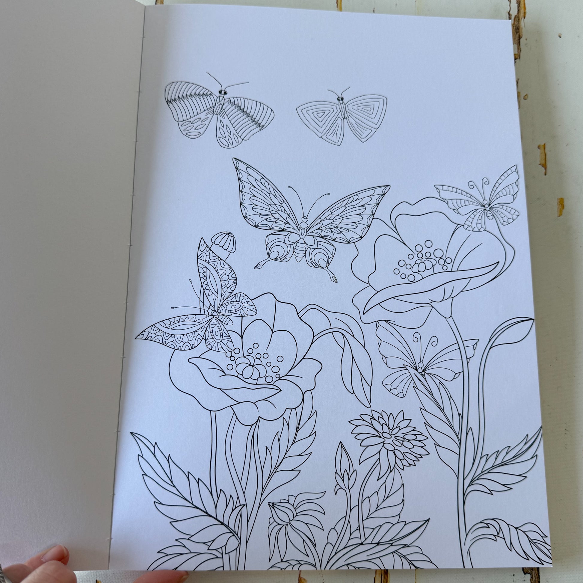 Colour your Own Beautiful Butterflies #1446-Happily Zen