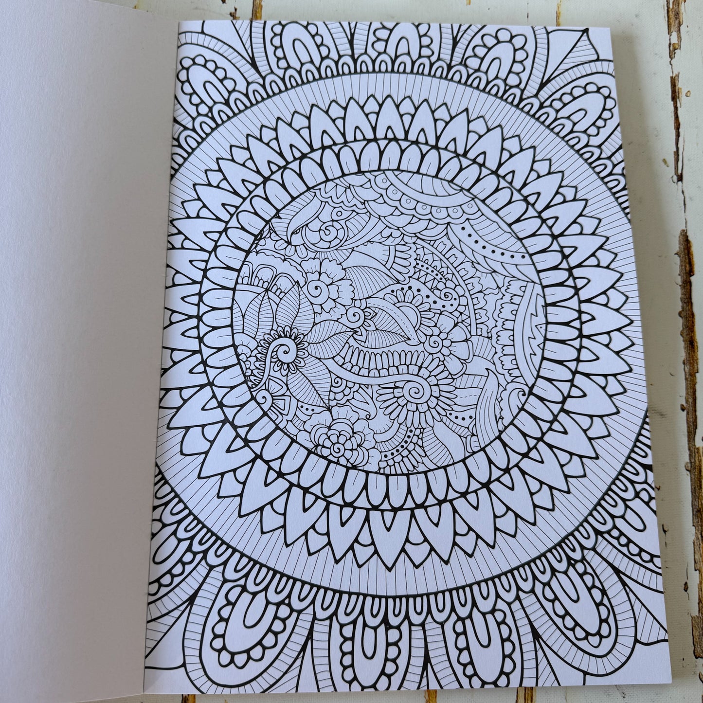 Colour your Own Free Spirit #1447-Happily Zen