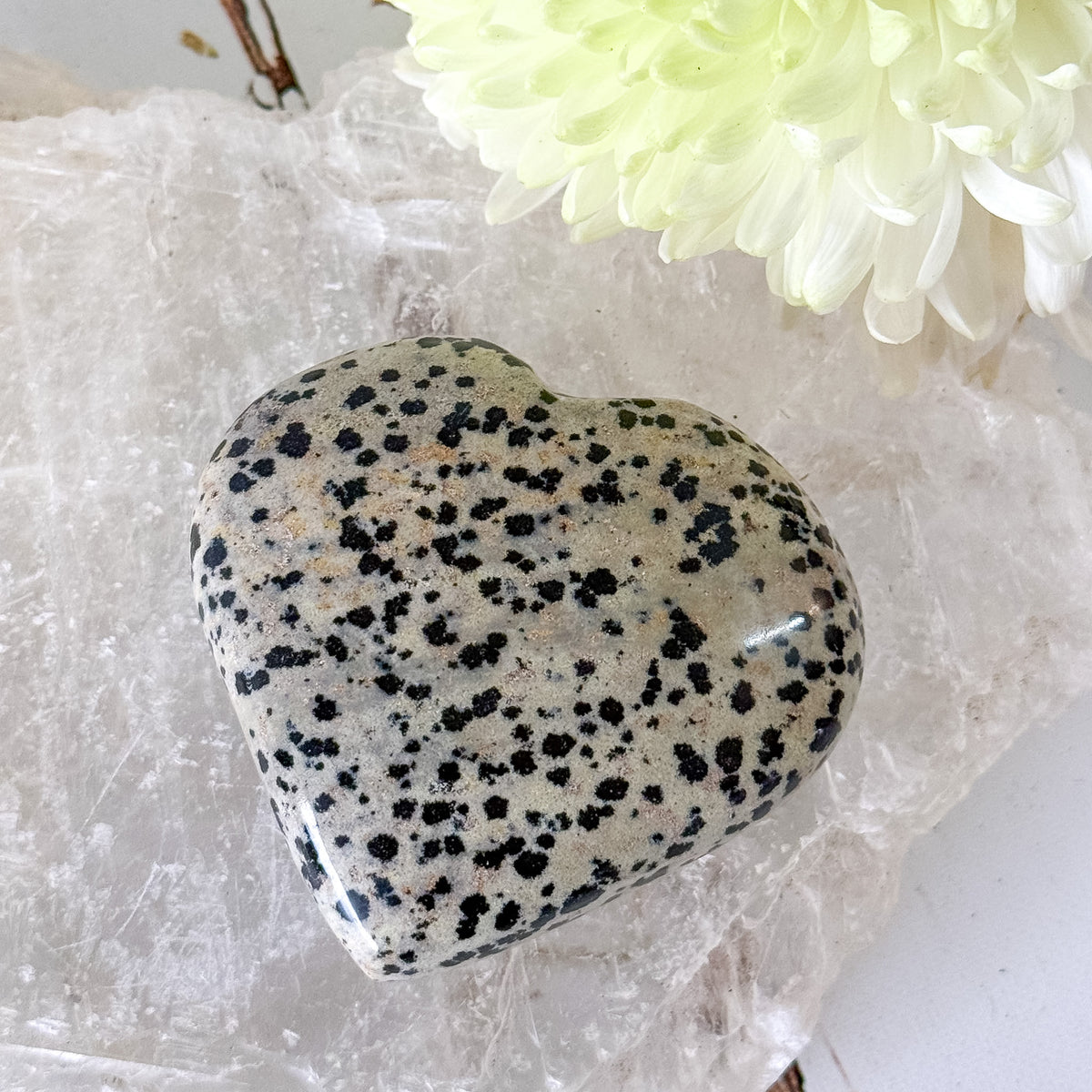 Dalmatian Jasper Heart #1351-Happily Zen
