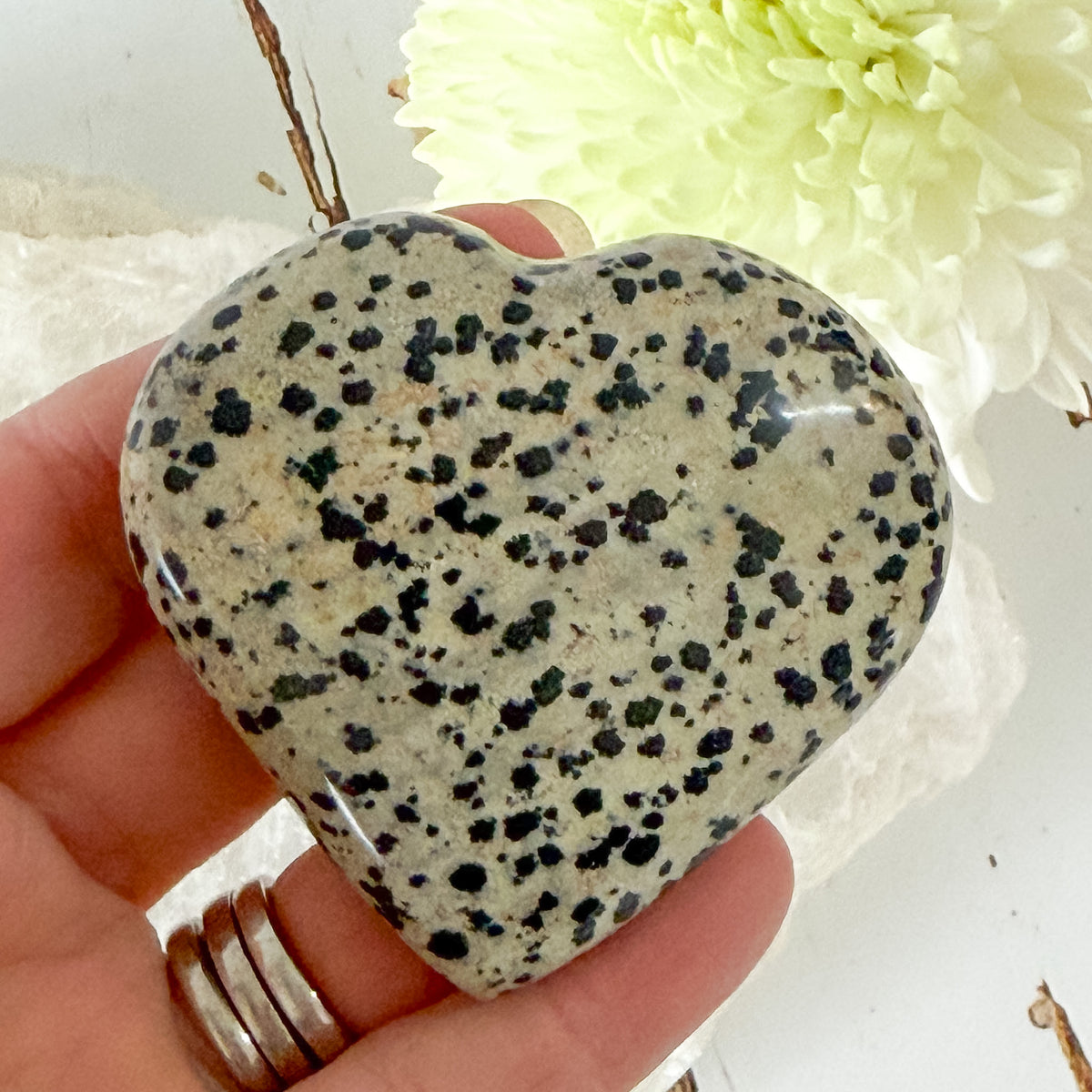 Dalmatian Jasper Heart #1351-Happily Zen