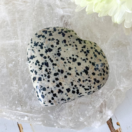 Dalmatian Jasper Heart #1351-Happily Zen
