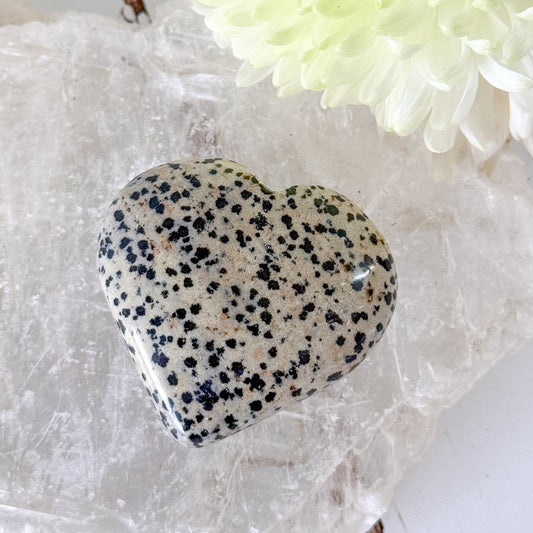 Dalmatian Jasper Heart #1352-Happily Zen
