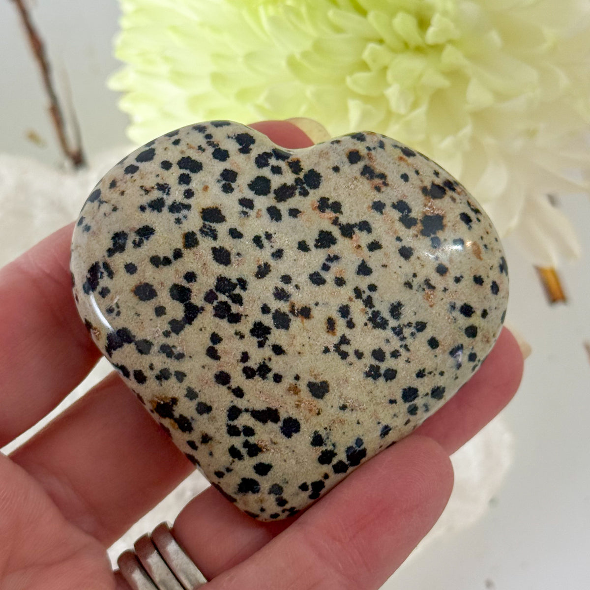 Dalmatian Jasper Heart #1353-Happily Zen
