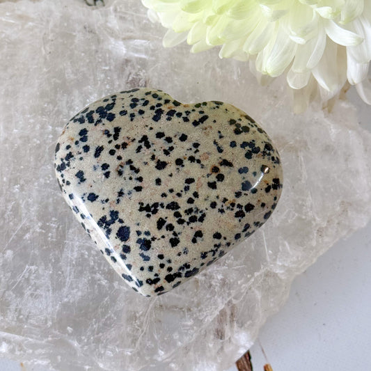Dalmatian Jasper Heart #1353-Happily Zen