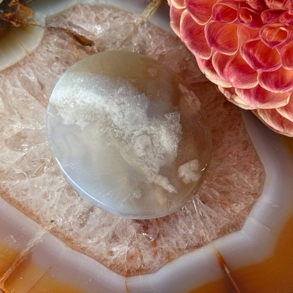 Flower Agate Palm Stone #1097-Happily Zen