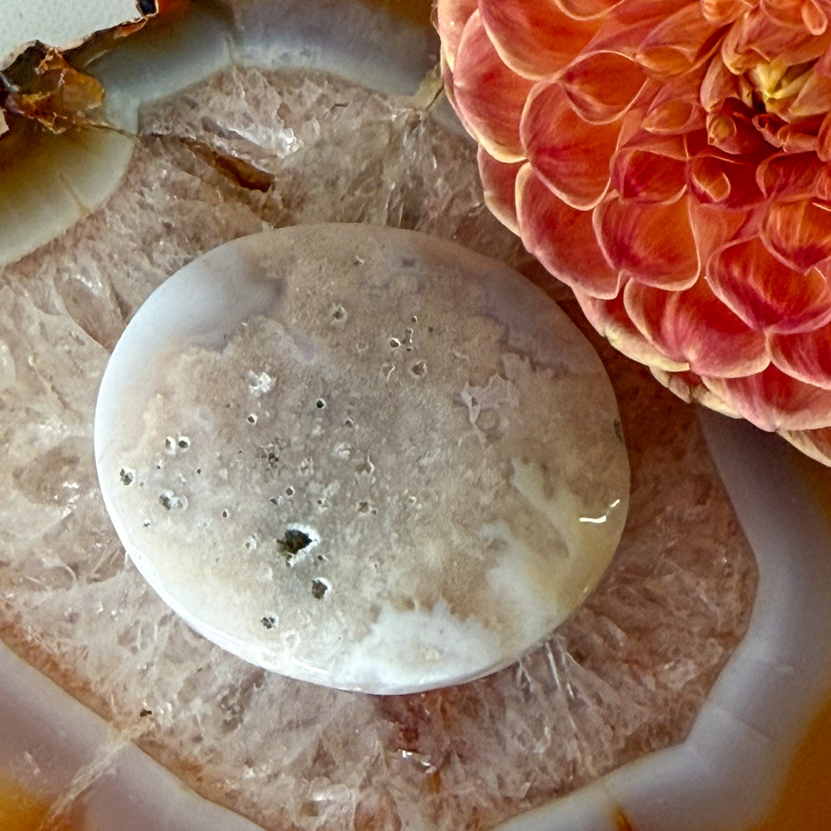 Flower Agate Palm Stone #1098-Happily Zen