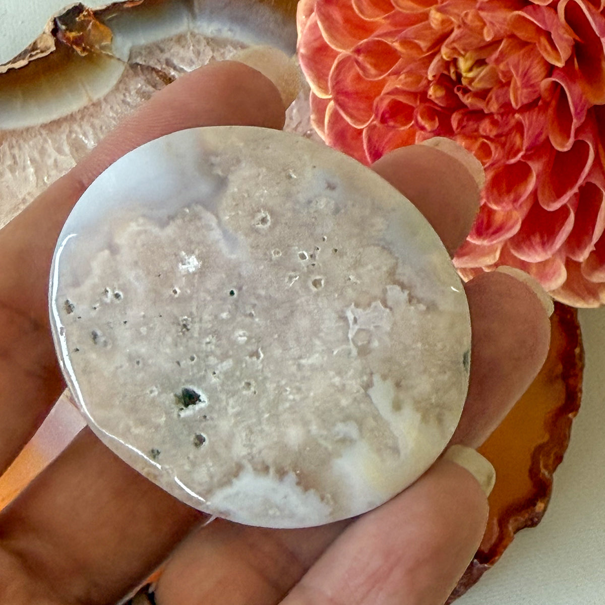 Flower Agate Palm Stone #1098-Happily Zen