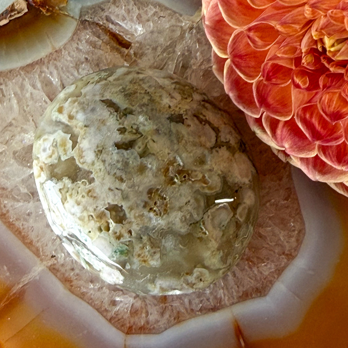 Flower Agate Palm Stone #1099-Happily Zen