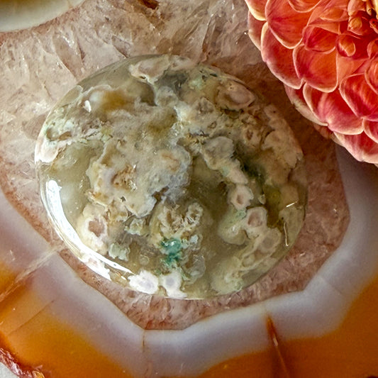 Flower Agate Palm Stone #1099-Happily Zen