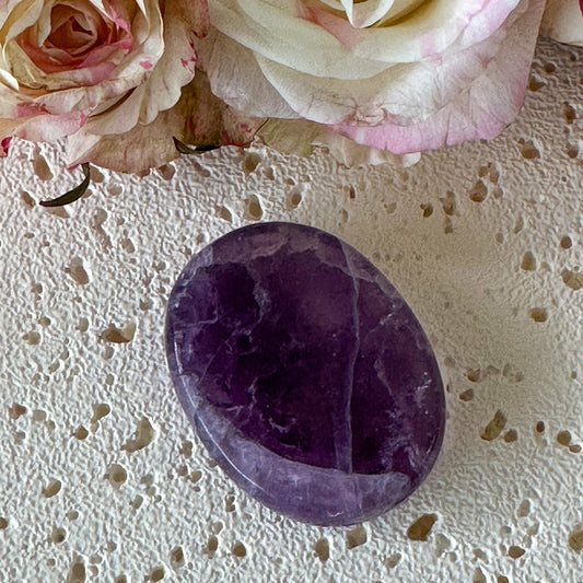 Fluorite Worry Stone #954-Happily Zen