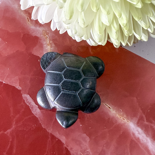 Hematite Turtle #1371-Happily Zen