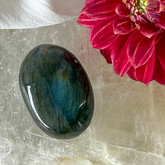 Labradorite Palm Stone #1169-Happily Zen