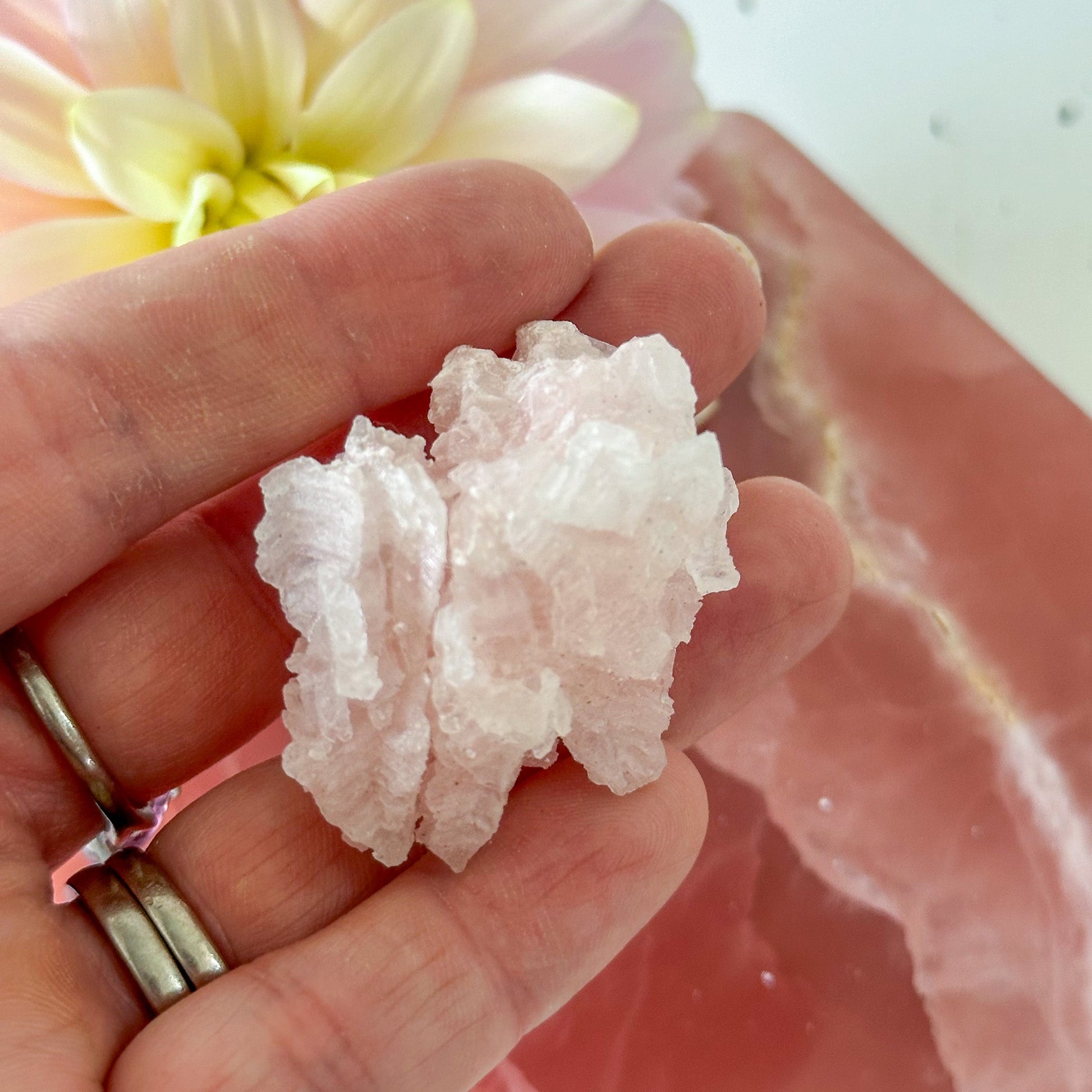 Pink Halite Cluster #891-Happily Zen