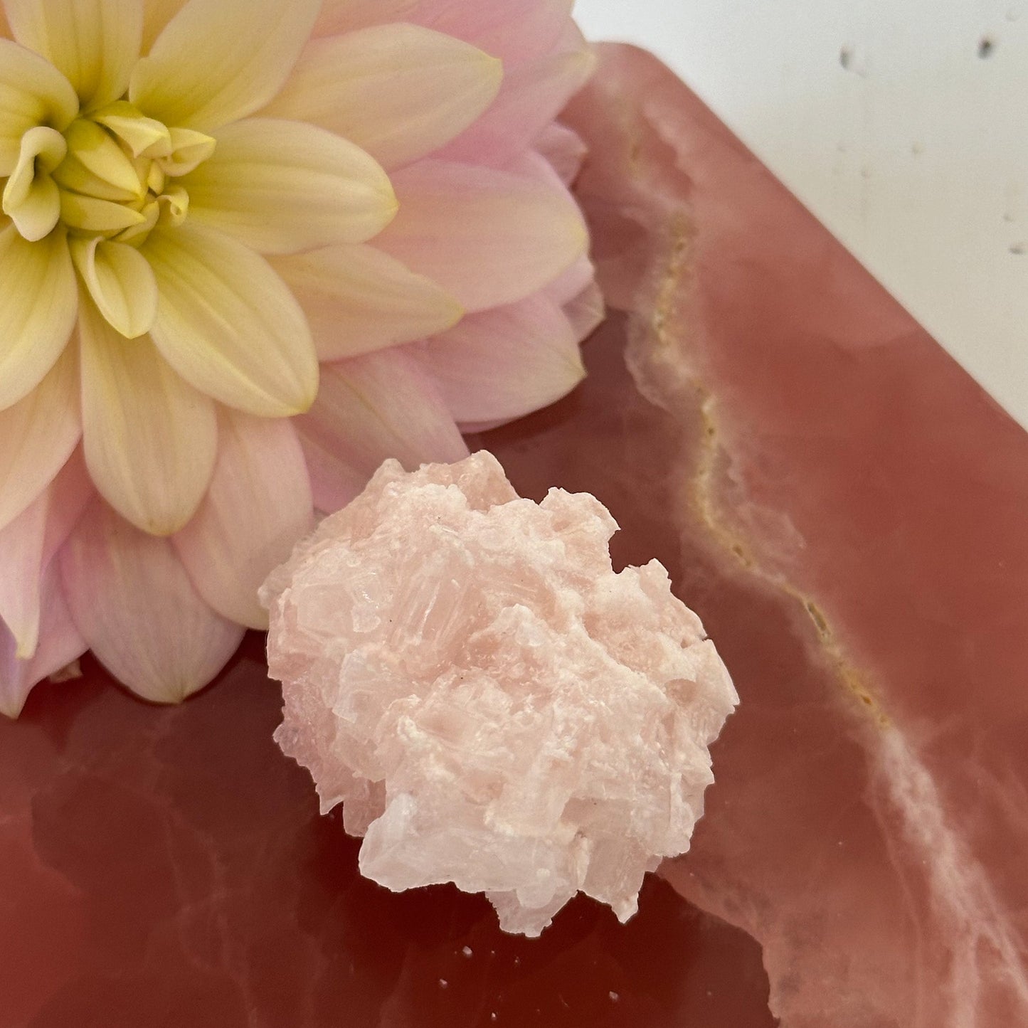 Pink Halite Cluster #892-Happily Zen